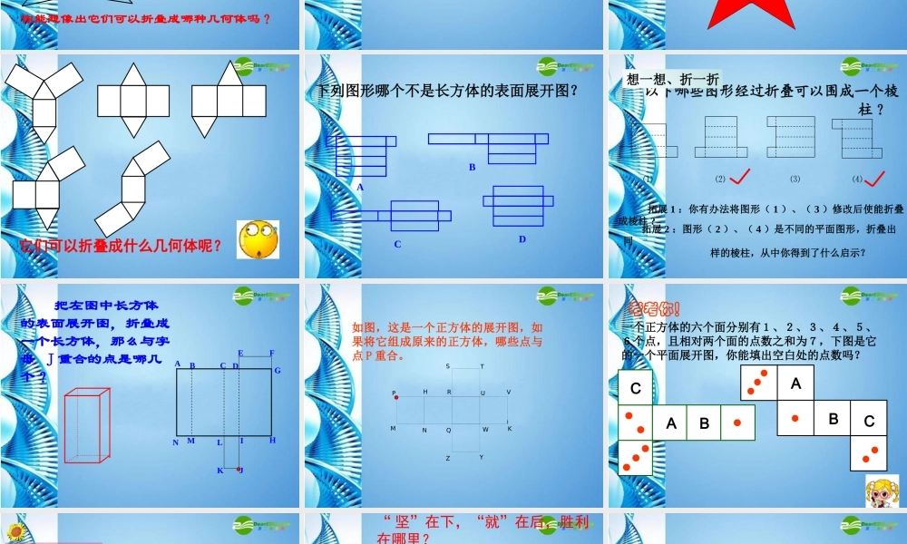 七年级数学上册 展开与折叠课件 苏科版 课件