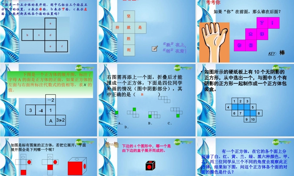 七年级数学上册 展开与折叠课件 苏科版 课件