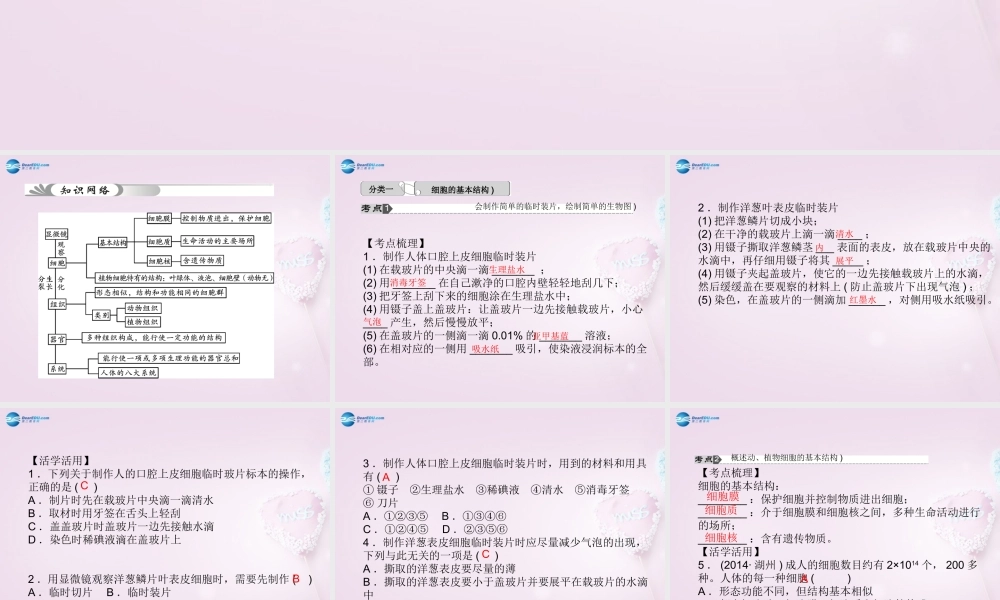 中考科学总复习 第1讲 细胞课件 浙教版 课件