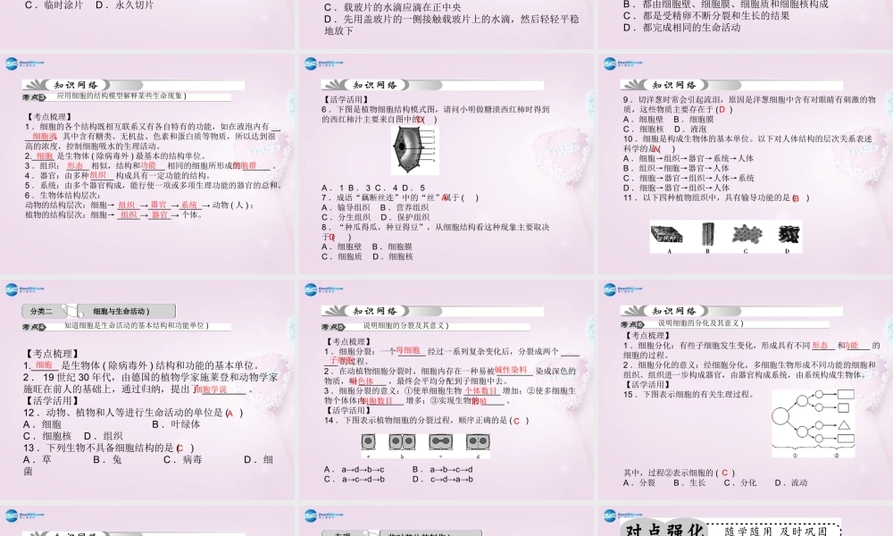 中考科学总复习 第1讲 细胞课件 浙教版 课件