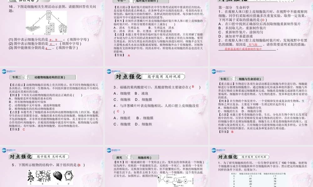 中考科学总复习 第1讲 细胞课件 浙教版 课件