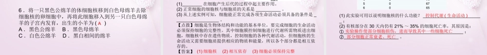 中考科学总复习 第1讲 细胞课件 浙教版 课件