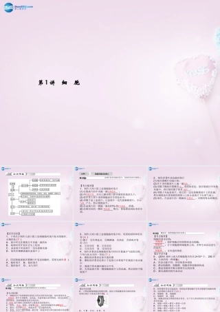 中考科学总复习 第1讲 细胞课件 浙教版 课件
