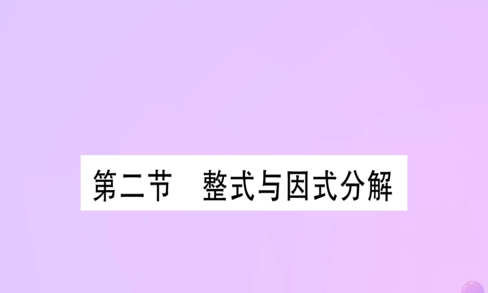 (云南专用)中考数学 第一轮 考点系统复习 第1章 数与式 第2节 整式与因式分解作业课件