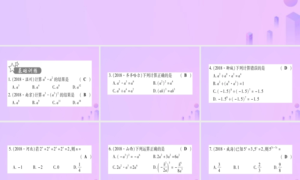 (云南专用)中考数学 第一轮 考点系统复习 第1章 数与式 第2节 整式与因式分解作业课件