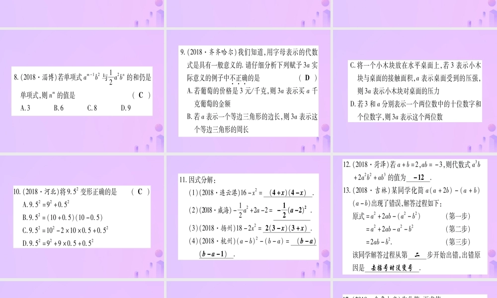 (云南专用)中考数学 第一轮 考点系统复习 第1章 数与式 第2节 整式与因式分解作业课件