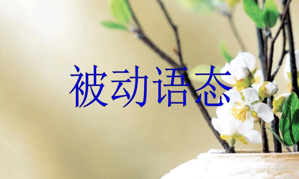 中考英语复习专题 被动语态课件