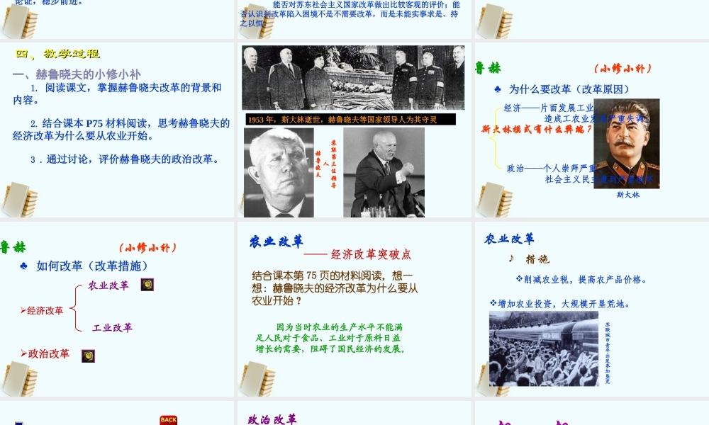 九年级历史下册 312(苏东的艰难探索)课件 北师大版  课件