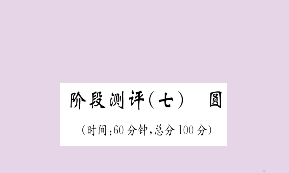 中考数学总复习 阶段测评(7)圆课件