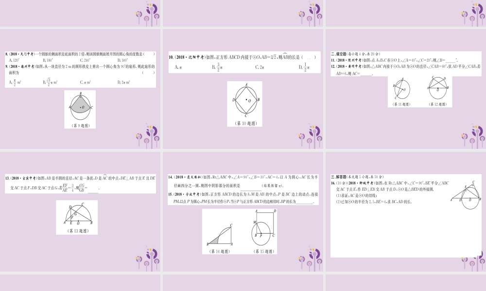 中考数学总复习 阶段测评(7)圆课件