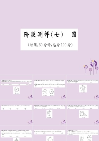 中考数学总复习 阶段测评(7)圆课件