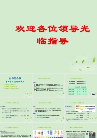 九年级化学 溶液的酸碱性课件 苏教版 课件