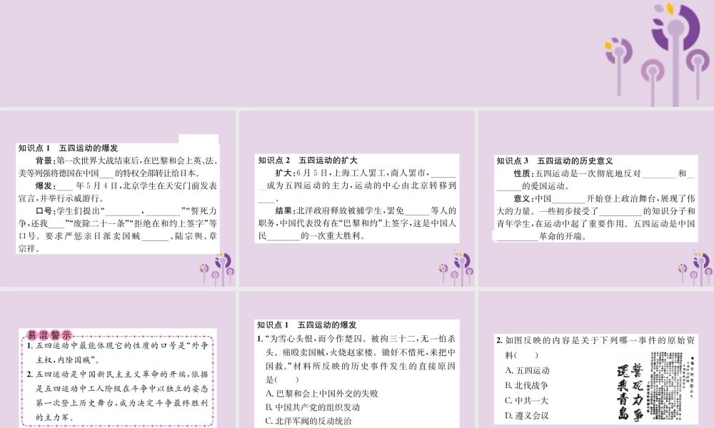(河南专版)八年级历史上册 第四单元 新民主主义革命的开始 第13课 五四运动课件 新人教版 课件