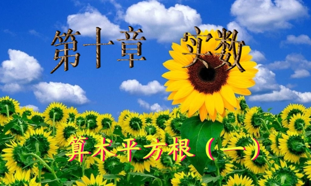 10.1.1 算术平方根(1) 广东省七年级数学下学期(第十章 实数)全套课件