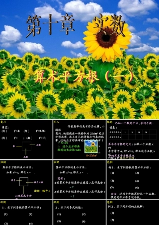10.1.1 算术平方根(1) 广东省七年级数学下学期(第十章 实数)全套课件