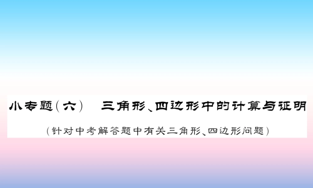 (课标版通用)中考数学总复习 第二轮 小专题集训 题型专攻 小专题(六)习题课件