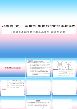 (课标版通用)中考数学总复习 第二轮 小专题集训 题型专攻 小专题(六)习题课件