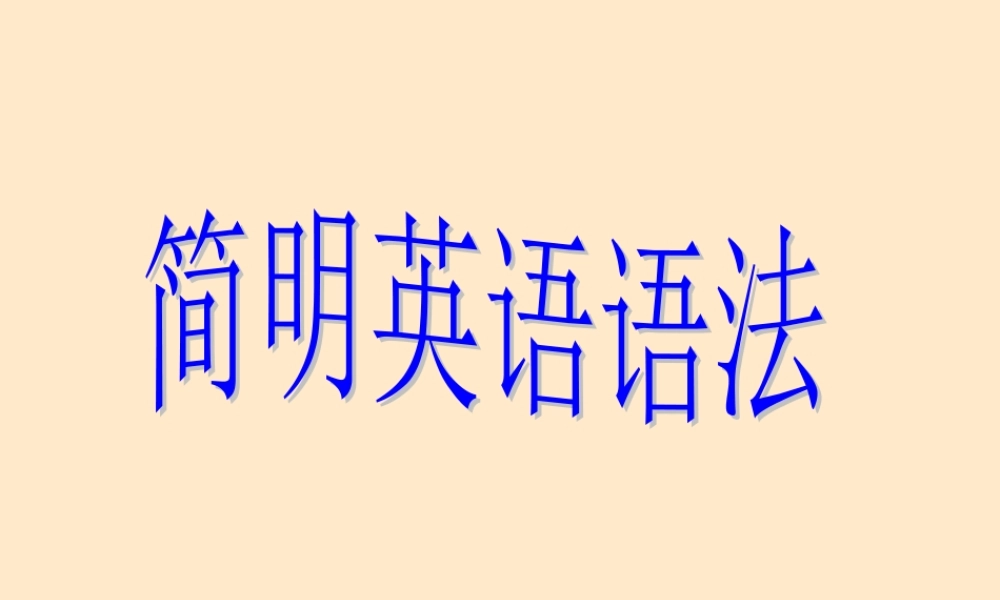 中考英语语法名词专讲课件