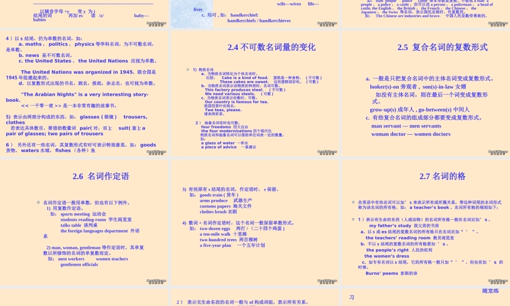 中考英语语法名词专讲课件