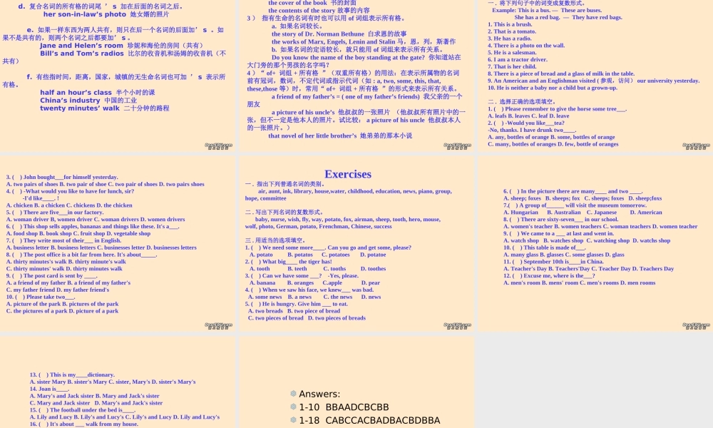 中考英语语法名词专讲课件