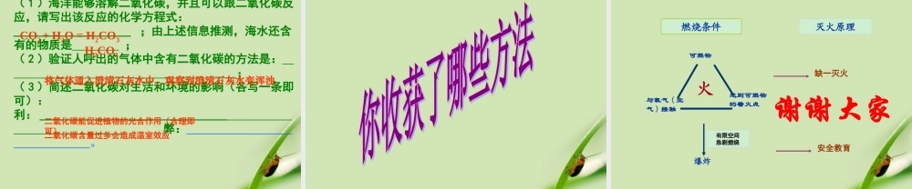 九年级化学 (碳和碳的氧化物)复习课件