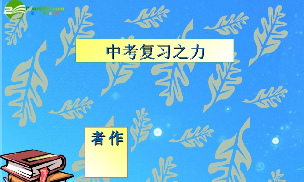 中考物理复习 力课件 人教新课标版 课件