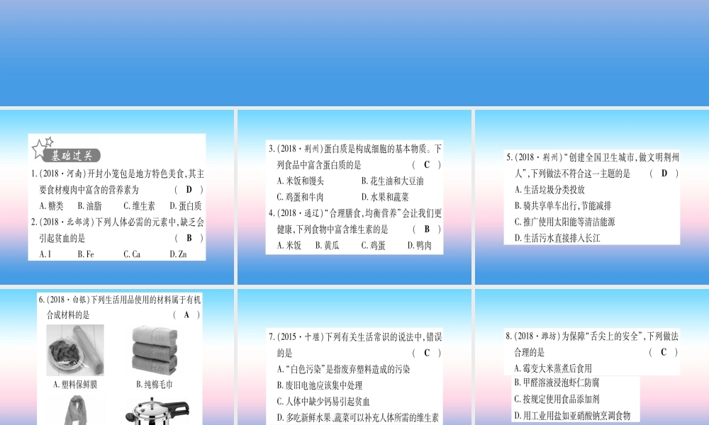 (湖北专版)中考化学总复习 第1部分 教材系统复习 九下 第12单元 化学与生活习题课件1 课件