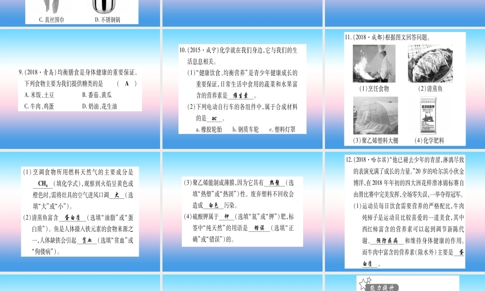 (湖北专版)中考化学总复习 第1部分 教材系统复习 九下 第12单元 化学与生活习题课件1 课件