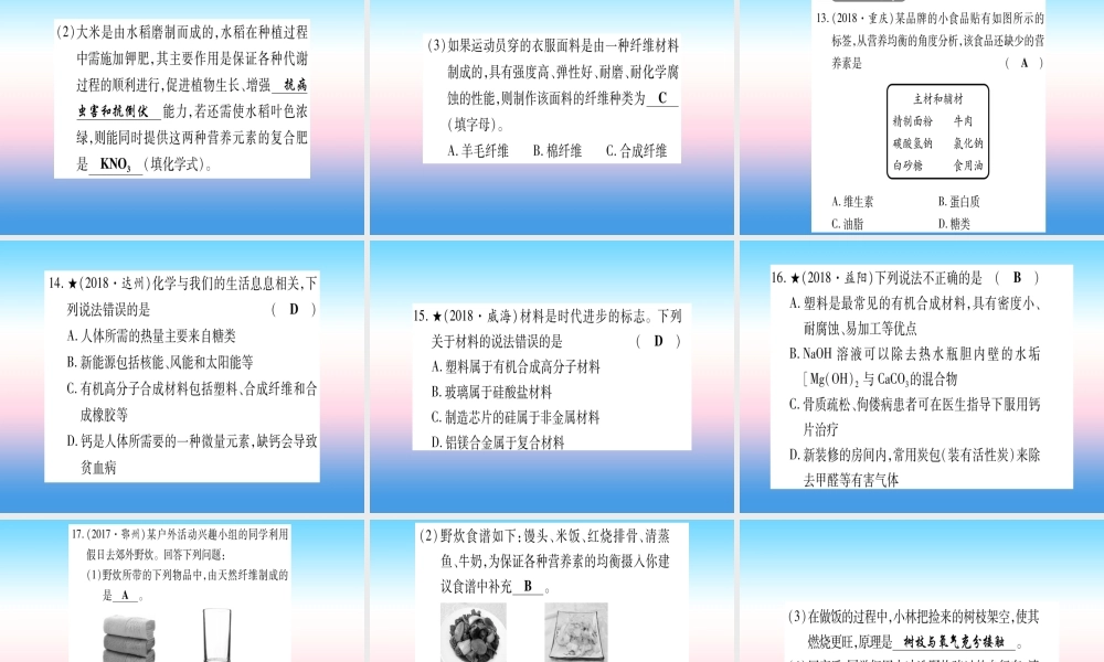 (湖北专版)中考化学总复习 第1部分 教材系统复习 九下 第12单元 化学与生活习题课件1 课件
