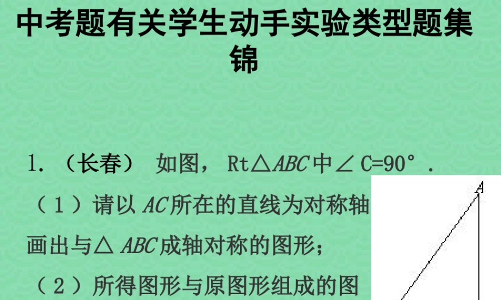 中考数学有关学生动手实验类型题集锦 试题