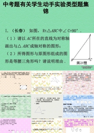 中考数学有关学生动手实验类型题集锦 试题