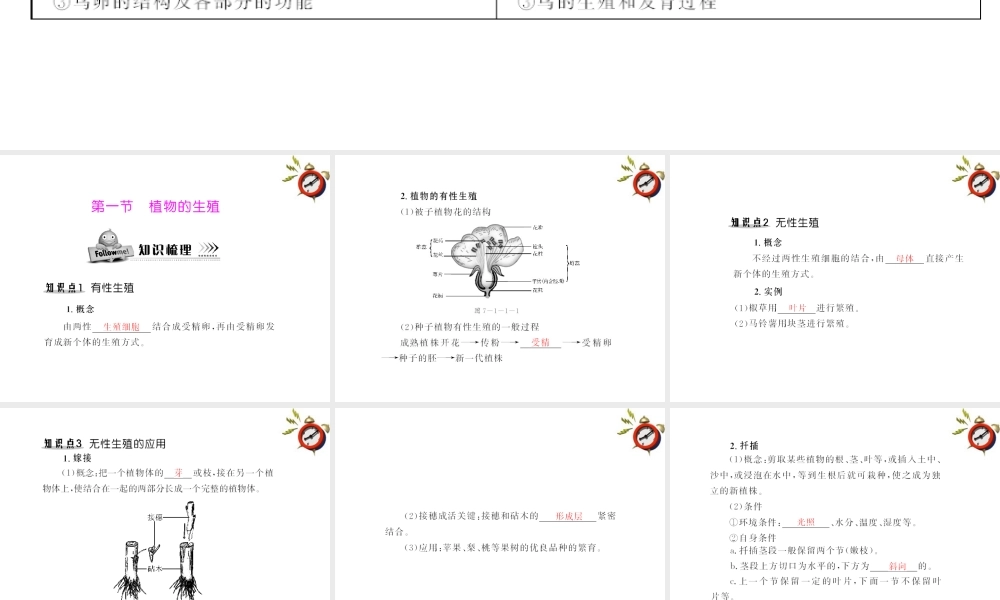 (随堂优化训练)八年级生物下册 第七单元 第一章 第一节 植物的生殖 配套课件 人教新课标版 课件