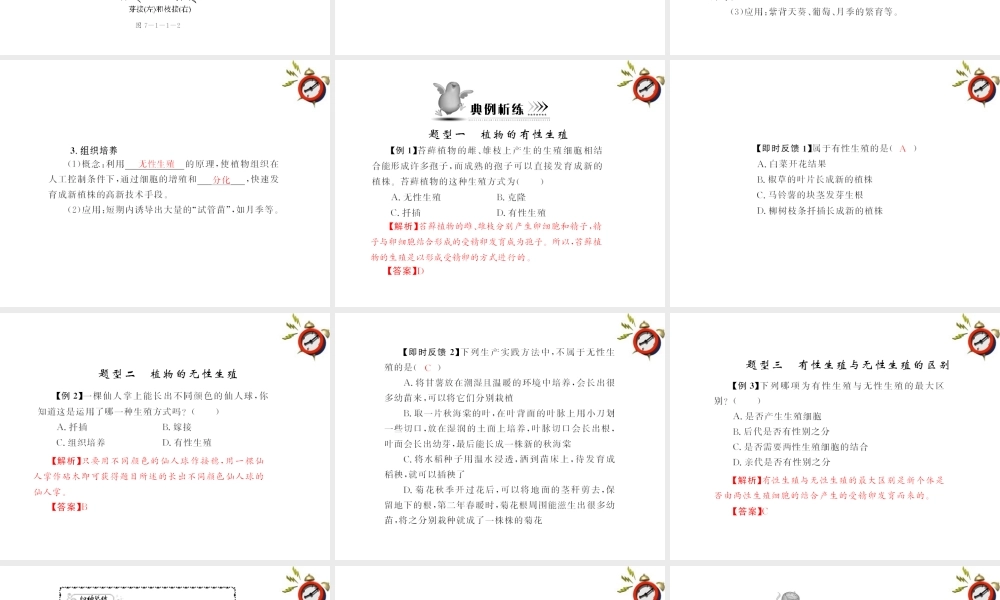 (随堂优化训练)八年级生物下册 第七单元 第一章 第一节 植物的生殖 配套课件 人教新课标版 课件