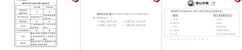 (随堂优化训练)八年级生物下册 第七单元 第一章 第一节 植物的生殖 配套课件 人教新课标版 课件