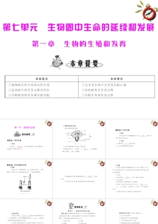 (随堂优化训练)八年级生物下册 第七单元 第一章 第一节 植物的生殖 配套课件 人教新课标版 课件