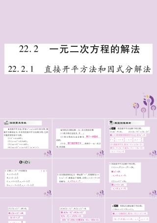 九年级数学上册 第22章 一元二次方程 222 一元二次方程的解法 2221 直接开平方法和因式分解法课件 (新版)华东师大版 课件