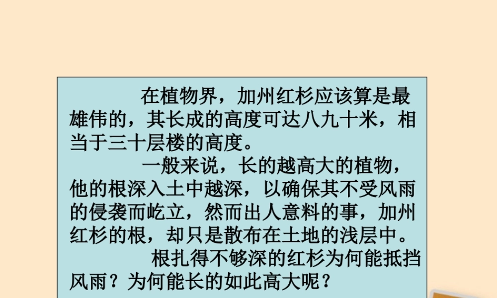 七年级政治 第一课第二框创建新集体课件 人教新课标版 课件