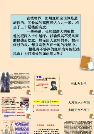 七年级政治 第一课第二框创建新集体课件 人教新课标版 课件