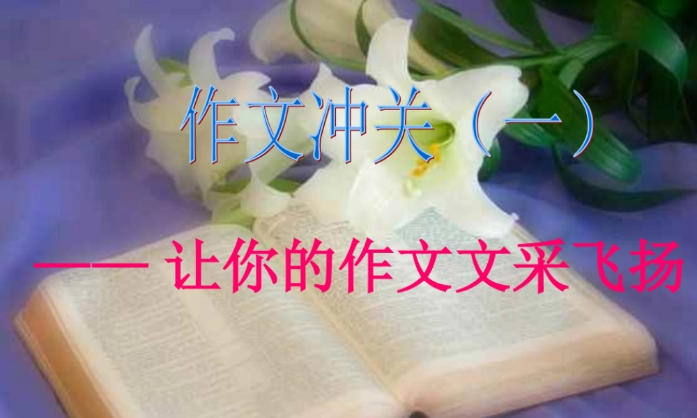 中考语文作文辅导课件 作文冲关第一关——语言关 课件