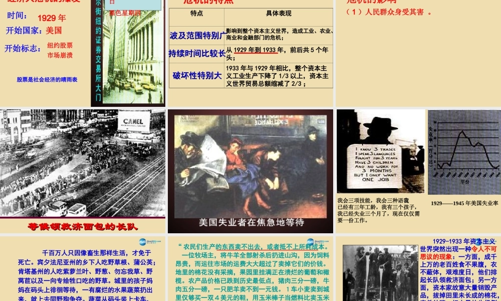 九年级历史下册 4 经济大危机课件 新人教版 课件