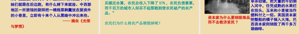 九年级历史下册 4 经济大危机课件 新人教版 课件