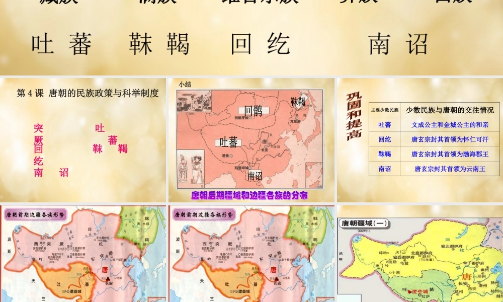 七年级历史下册 第4课 唐朝的民族政策与科举制度课件 中华书局版 课件