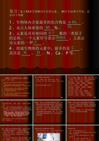 九年级化学下册生物微量元素与健康课件