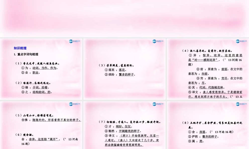 中考语文总复习 第9篇 桃花源记课件 苏教版 课件