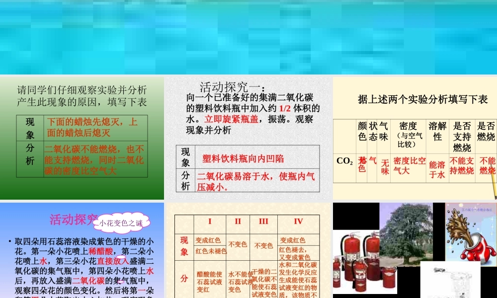 九年级化学 二氧化碳的性质课件