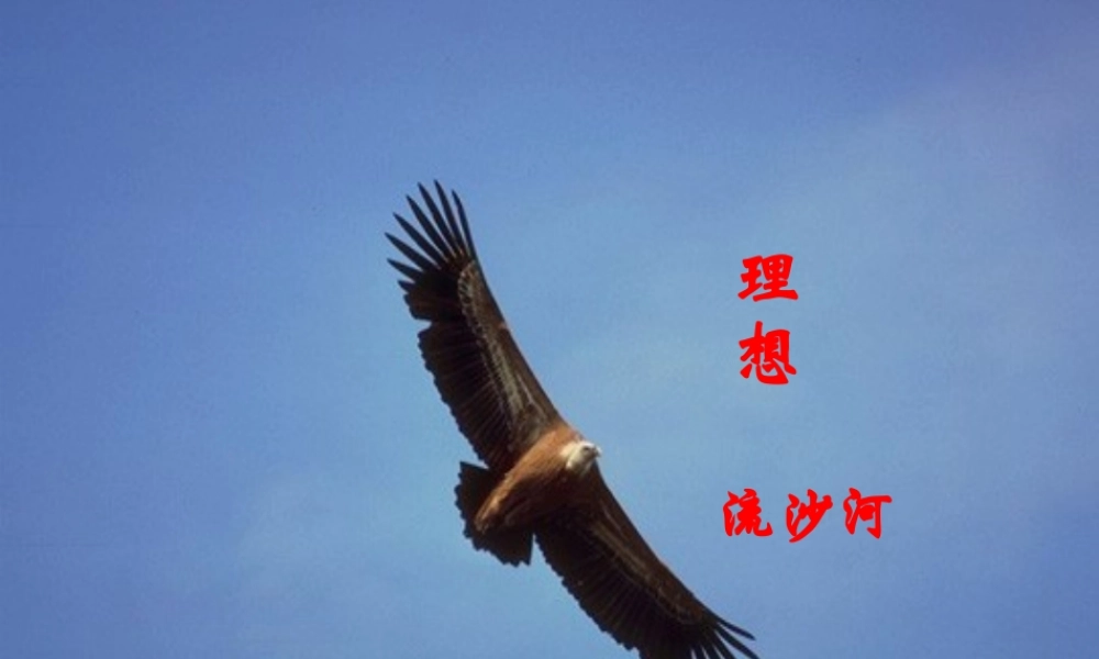 (理想)课件6 七年级语文上册第一单元(口语交际综合性学习这就是我)课件4套人教版