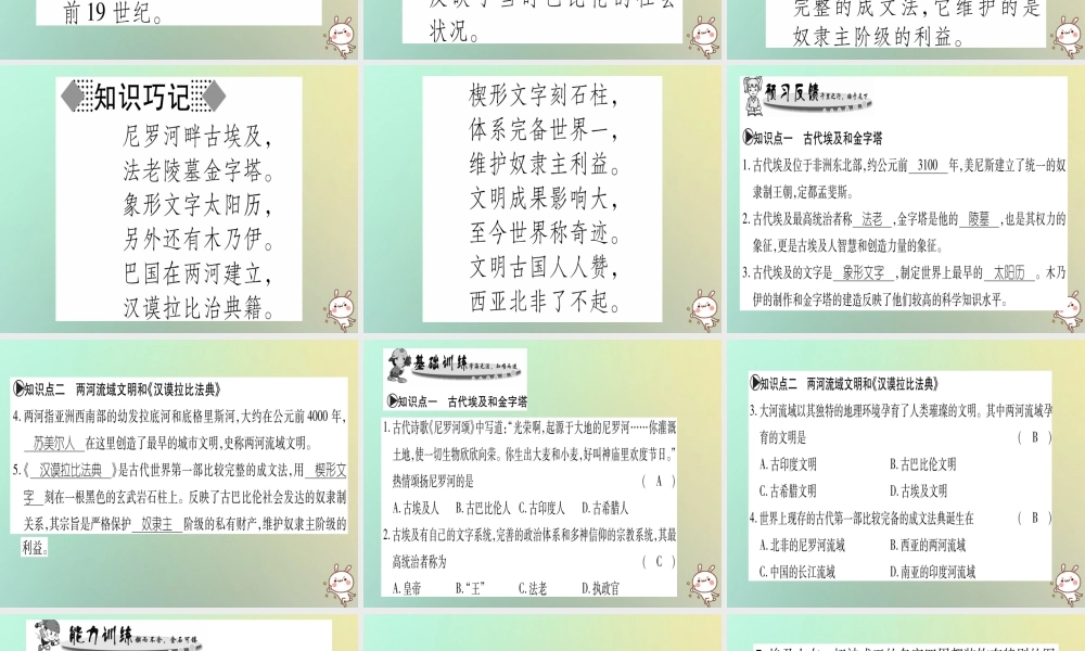 九年级历史上册 第1单元 古代世界 第1课 古代埃及和两河流域文明课件 中华书局版 课件