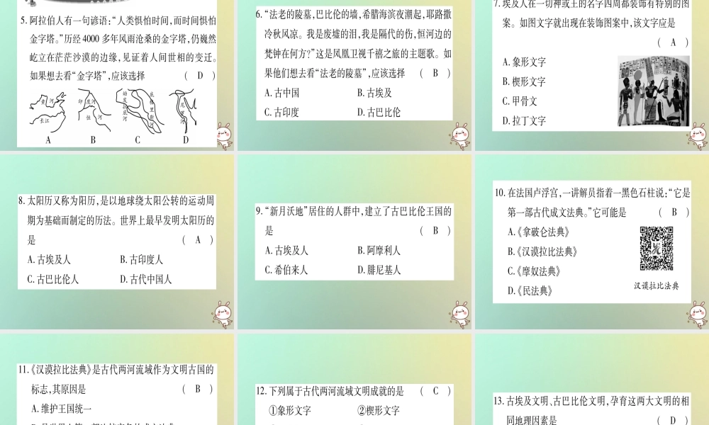 九年级历史上册 第1单元 古代世界 第1课 古代埃及和两河流域文明课件 中华书局版 课件