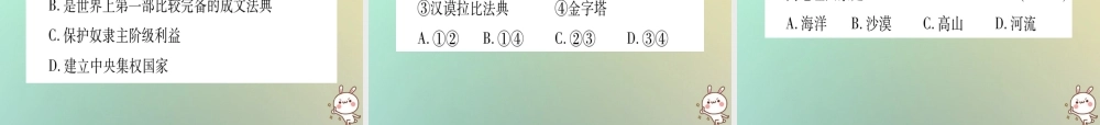 九年级历史上册 第1单元 古代世界 第1课 古代埃及和两河流域文明课件 中华书局版 课件