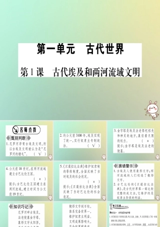 九年级历史上册 第1单元 古代世界 第1课 古代埃及和两河流域文明课件 中华书局版 课件